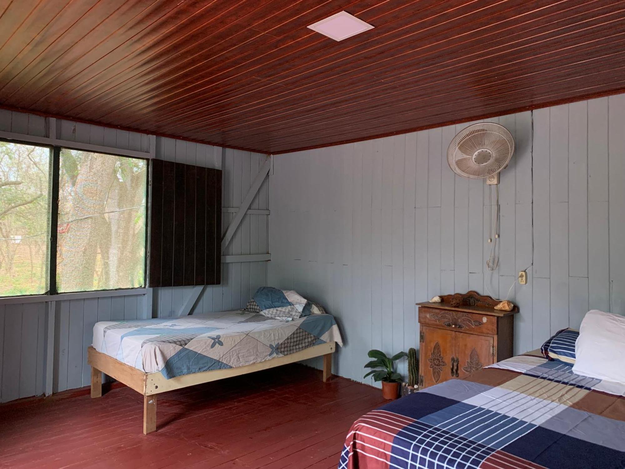 Nieves Surf Hostel And Camping Playa Avellana Eksteriør billede